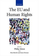 The future of UN human rights treaty monitoring /