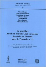 La procédure devant la nouvelle Cour européenne des droits de l'homme après le Protocole no 11 : actes du séminaire organisé à Bruxelles le 9 octobre 1998, par les Instituts des droits de l'homme des barreaux de Paris et de Bruxelles /