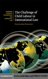 The challenge of child labour in international law /