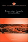 Transboundary damage in international law /