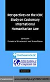 Perspectives on the ICRC study on customary international humanitarian law /