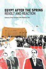Egypt after the Spring : revolt and reaction /
