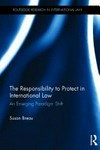 The responsibility to protect in international law : an emerging paradigm shift /