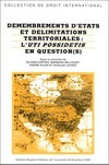 Démembrements d'Etats et délimitations territoriales : l'uti possidetis en question (s) /